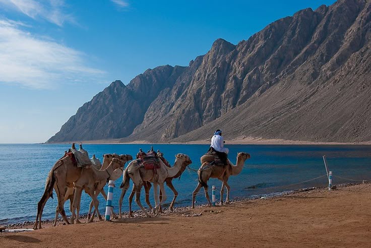 صورة الألبوم