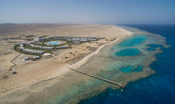 صورة الألبوم