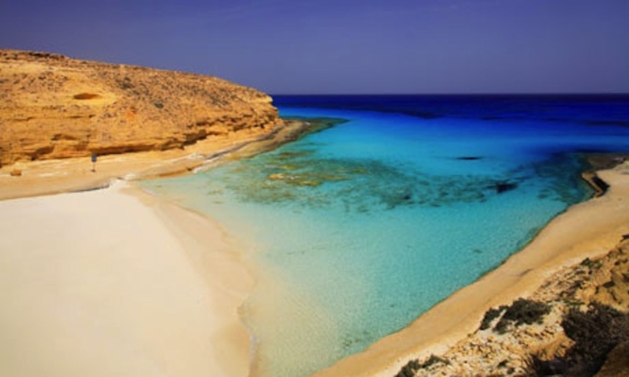 صورة الألبوم